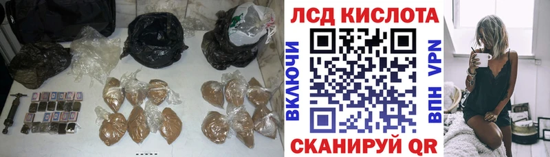 кракен рабочий сайт  Сорочинск  Лсд 25 экстази кислота  закладка 