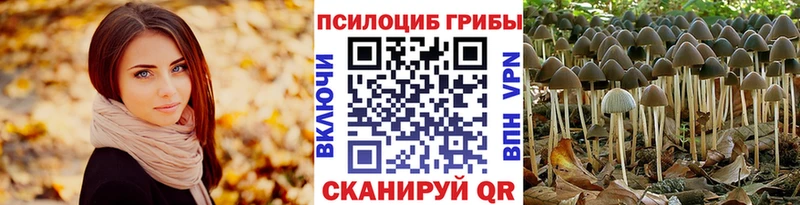 blacksprut как войти  Сорочинск  Галлюциногенные грибы ЛСД 